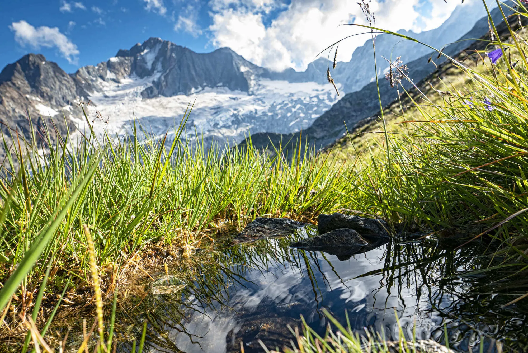 Quality, processes, territory: the values that guide our work