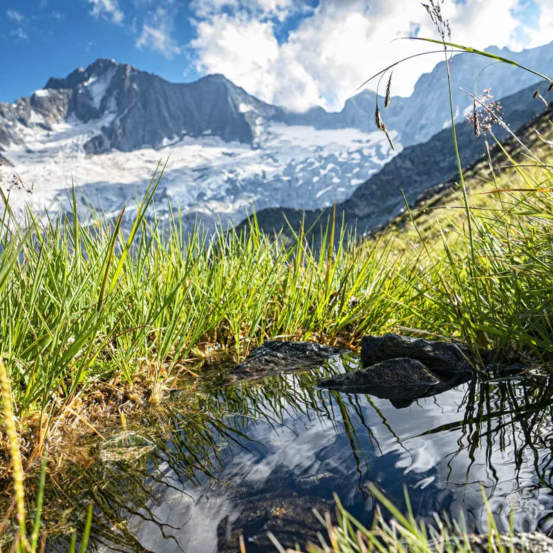 Quality, processes, territory: the values that guide our work