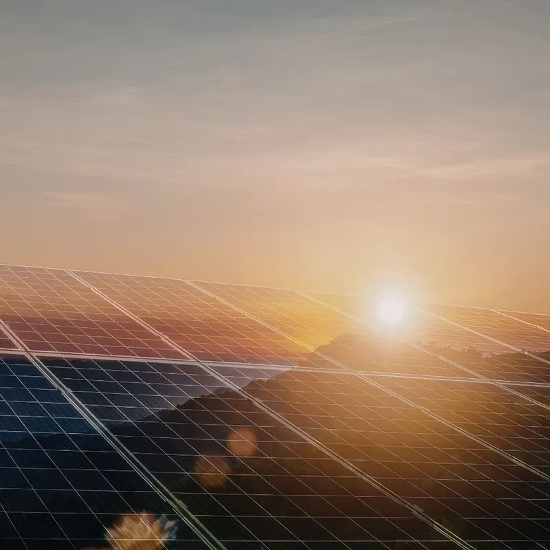 Earth Day: Mottolini SB’s commitment to more sustainable production